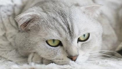 别再用错了——17cc最新入口视频分享分区入口正确姿势在这里