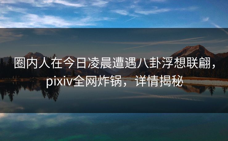 圈内人在今日凌晨遭遇八卦浮想联翩,pixiv全网炸锅,详情揭秘